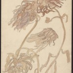 "Chryzantemy"
Jan Rembowski (1879-1923)