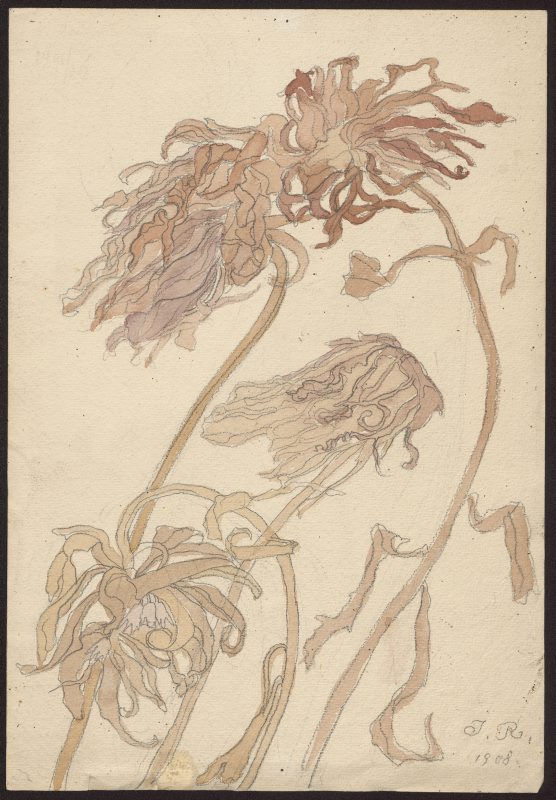 "Chryzantemy"
Jan Rembowski (1879-1923)