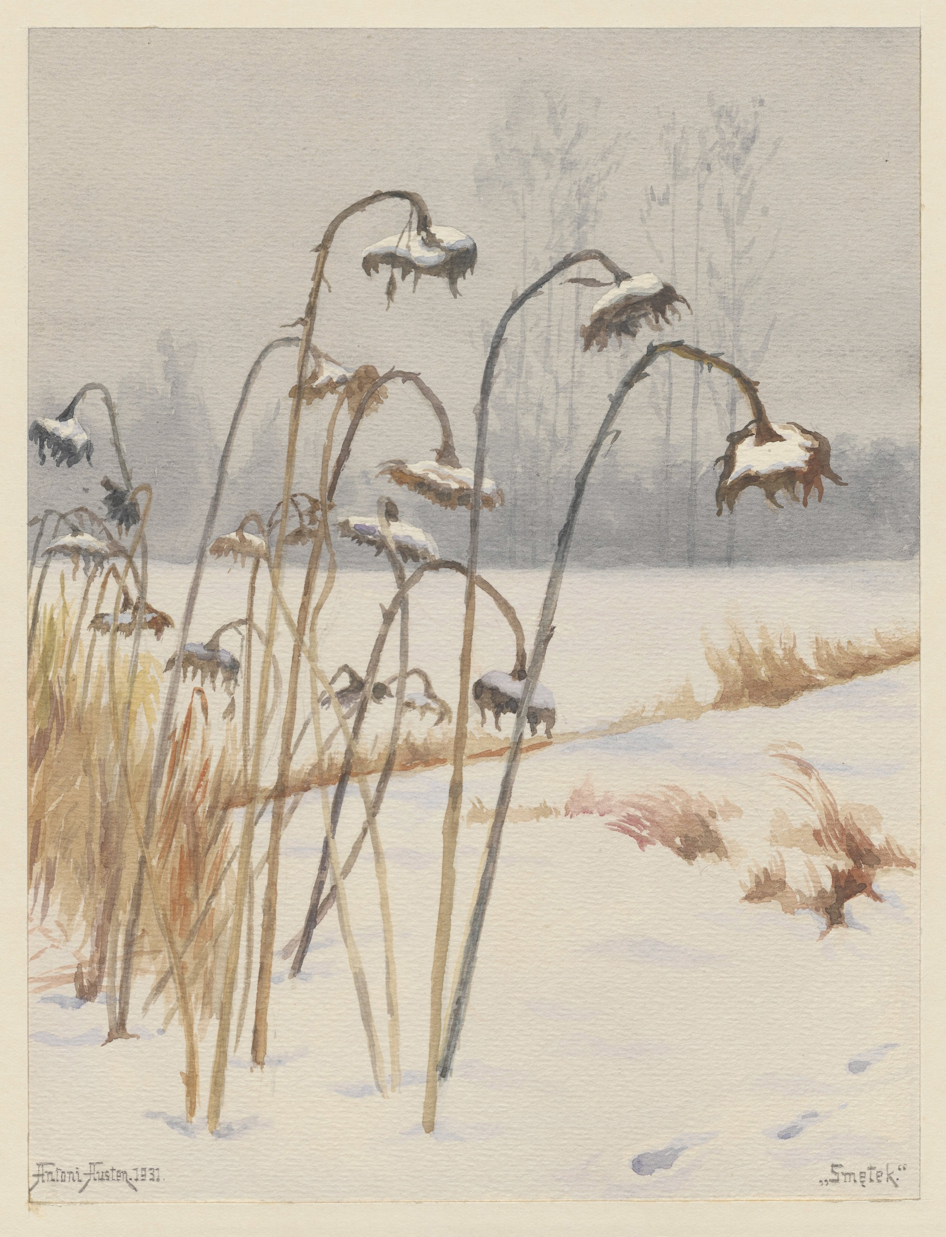 "Smętek"
Antoni Jan Austen (1865-1938)